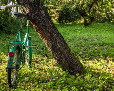 Elma ağacının altında güneş ışığında bir bahçede duran eski bir bisiklet.