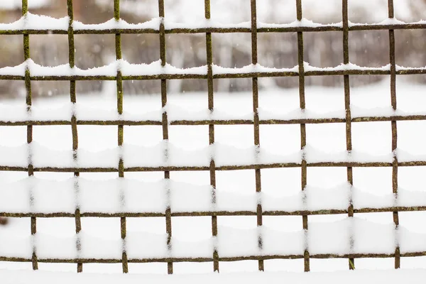 Fence Metal Grid Covered First Snow Close — Stock Photo, Image