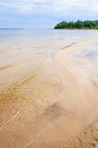 Piaszczysta Plaża Morza Przeciwko Błękitnemu Niebu Chmurami Lasami — Zdjęcie stockowe