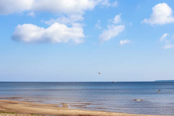 一个小波纹 地平线上的船 蓝天白云和海鸥 — 图库照片