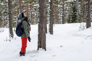 Gülümseyen güzel bir kadın ellerini yana doğru uzatıyor ve kışın karla kaplı ormanına hayran kalıyor. Doğanın korunması kavramı.