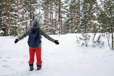 Kadın, partilerde ellerini uzatarak kışa hayranlıkla bakıyor, karla kaplı ormana. Doğanın korunması kavramı.