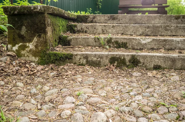 Overgrown Vecchia Strada Ciottoli Ricoperto Muschio Scale Nel Parco Sullo — Foto Stock