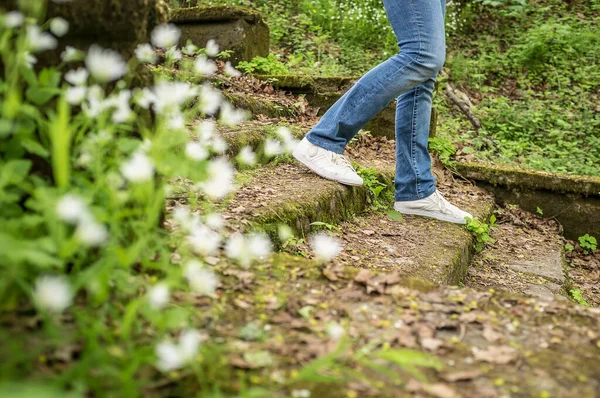 Fille Descend Les Vieilles Marches Envahies Mousse Herbe Dans Parc — Photo