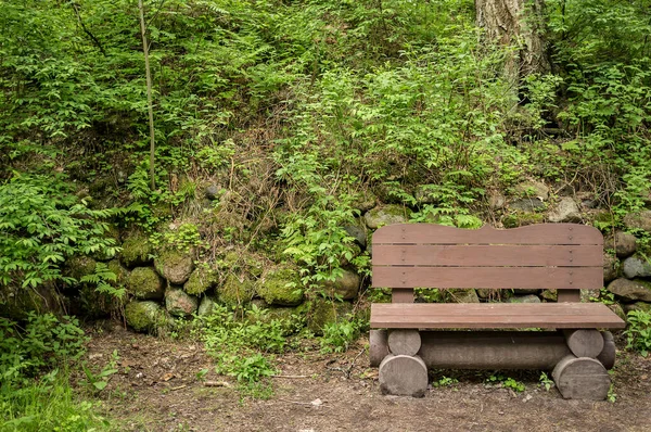 Holzbank Einem Waldpark Der Nähe Des Weges Hintergrund Eine Wand — Stockfoto