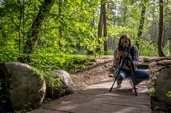 Une Femme Photographe Concentrée Prend Des Photos Forêt Estivale Des — Photo