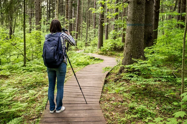 Fotografin Mit Kamera Und Stativ Steht Auf Dem Ökologischen Pfad — Stockfoto