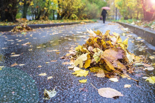 Ein Haufen Herbstlaub Fegte Die Reinigungskräfte Den Rand Der Asphaltstraße — Stockfoto