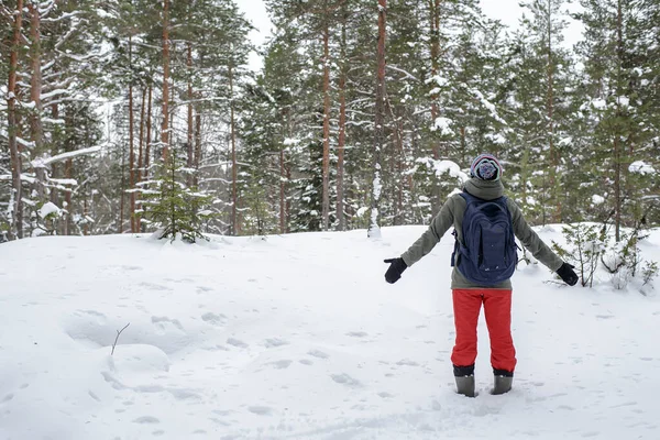 Kadın, partilerde ellerini uzatarak kışa hayranlıkla bakıyor, karla kaplı ormana. Doğanın korunması kavramı.