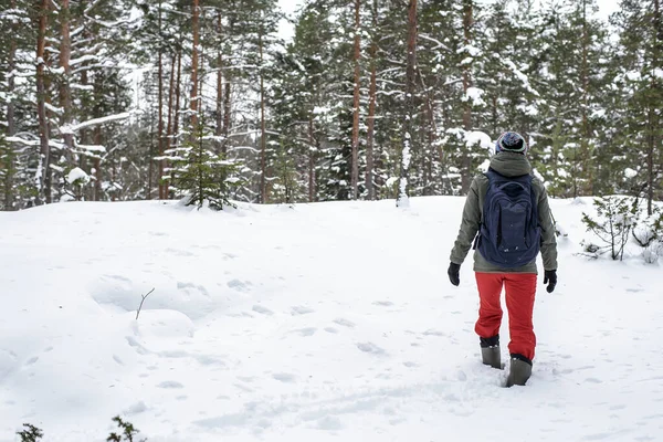 Una Mujer Sube Colina Través Profundas Corrientes Nieve Bosque Invierno — Foto de Stock