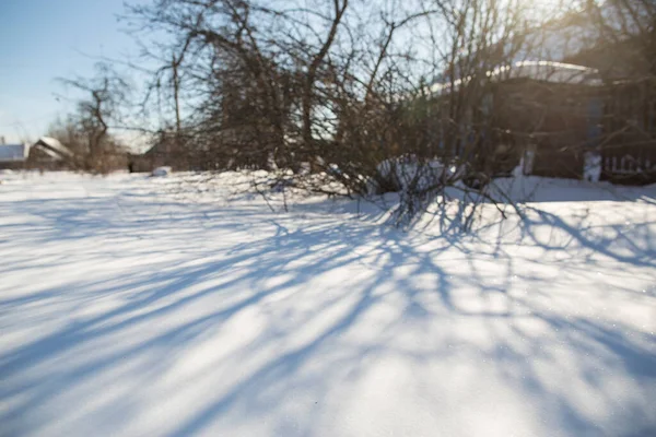 村の家や庭の背景にある雪原の木々の影 霜の晴れた日 — ストック写真