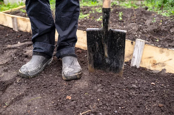 Gambe Uomo Scarpe Gomma Una Pala Acciaio Poggiano Terra Giardino — Foto Stock