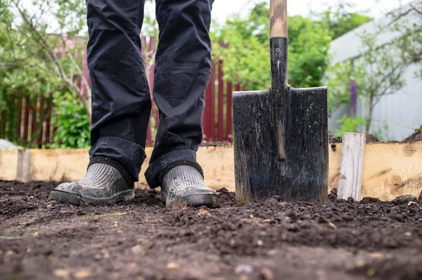 Fötterna Man Gummiskor Och Stålspade Står Marken Trädgården Mot Bakgrund — Stockfoto