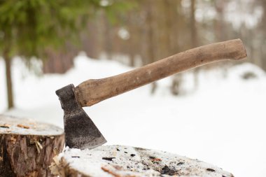 Balta kütükte, karla kaplı ormanın arka planında, dondurucu ve bulutlu bir günde.