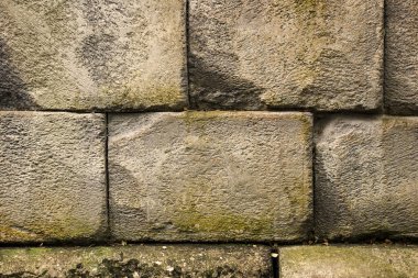 Beyaz tuğladan eski bir duvar zamanla nemli yeşile döndü. Duvar kağıdı. Yakın plan..