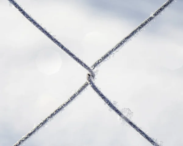 Bevroren Hek Gemaakt Van Metalen Gaas Bedekt Met Vorst Kristallen — Stockfoto