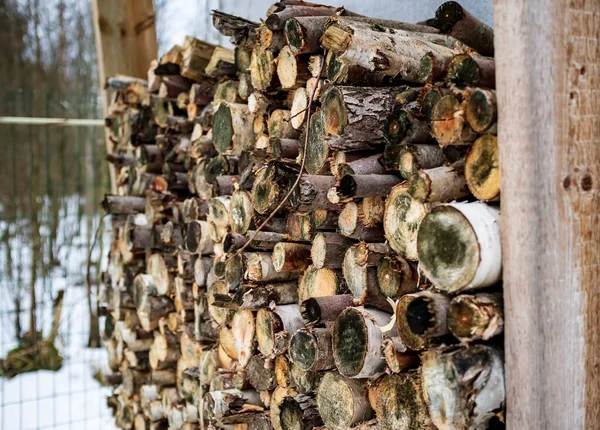 Shnilé Dřevo Podpal Naskládané Hromadě Dřeva Venkově Zasněžené Zahradě Pozadí — Stock fotografie