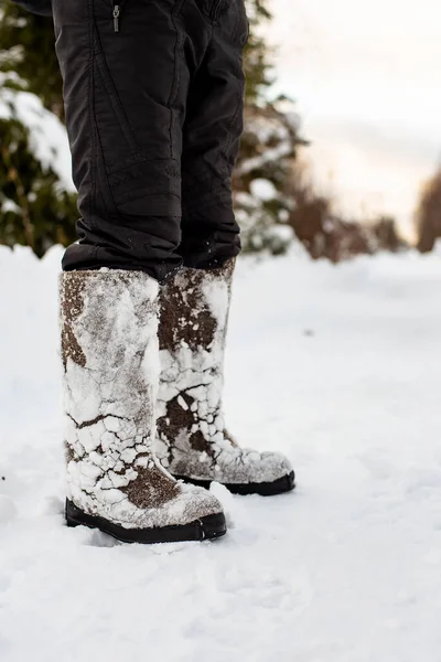 Feet in warm, comfortable felt shoes with snow stuck to them after a walk through the snowdrifts in the forest are on a cleared road, against a blurred background of the countryside and sunset. The traditional Russian felt boots.