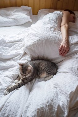 Sevimli, genç bir kedi, sabahın erken saatlerinde pencereden gelen doğal ışıkta, tahta bir kır evinde metresiyle birlikte yatakta uyuyor..