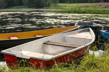 Nehrin kıyısında, sıcak bir yaz gününde, kırsal kesimde, bitki örtüsü ve ormanlarla birlikte suyun arka planına farklı renklerde dört tekne bağlanır.