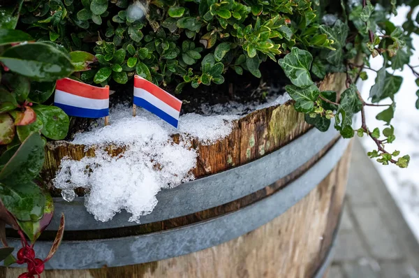 オランダの2つの小さな旗が雪の中に 緑の植物を持つ古い木製の樽に設定されています — ストック写真
