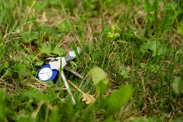 Kayıp Anahtarlar Anahtarlık Ilkbahar Günü Yeşil Çimlerde Yatar Yakın Plan — Stok fotoğraf