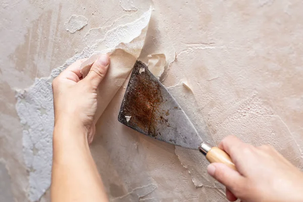 Odanın tamiri sırasında duvardaki eski duvar kağıdını bir spatulayla sökün. Yakın plan..