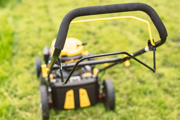 Grasmaaier Groen Gras Tuin Close — Stockfoto