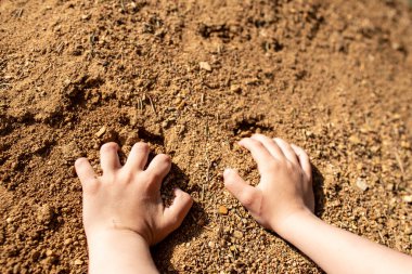 Güneşli bir yaz gününde kum havuzunda oynayan bir çocuğun küçük elleri. Yakın plan..