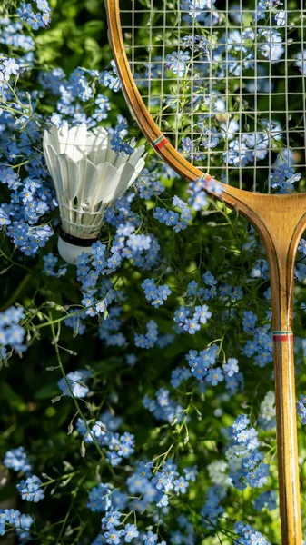 Trasbordador Una Raqueta Bádminton Encuentran Hermosas Flores Azules Jardín Día — Foto de Stock