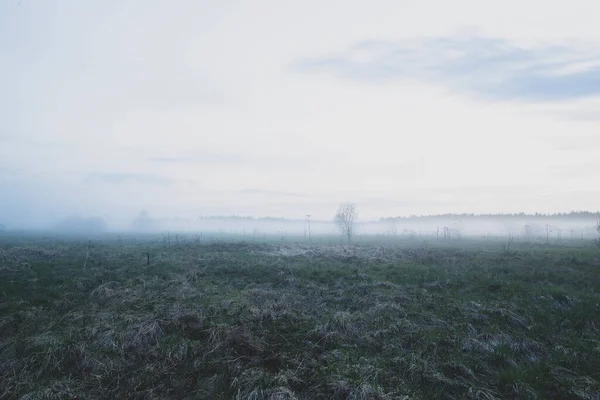 Dense Fog Rises Abandoned Field Spring Evening Countryside — Stock Photo, Image