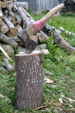 Köy bahçesindeki bir odun yığınının arka planında balta var..