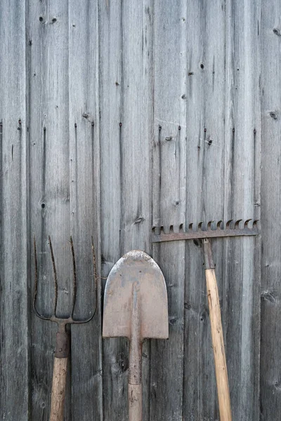 Herramientas de jardinería, pala, rastrillo y horquilla se colocan contra una antigua pared de granero de madera, en un patio del pueblo. Copiar espacio. — Foto de Stock