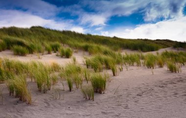 Dunes on the island of Juist, Germany clipart