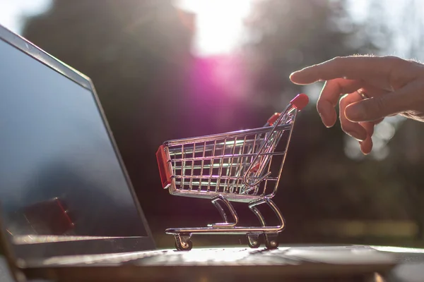 Concept of online grocery shopping. A miniature shopping cart is