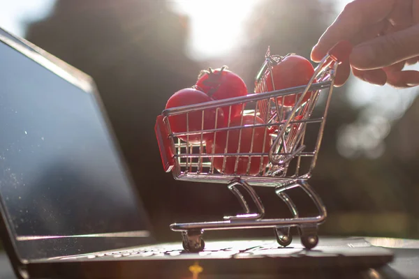 Concept of online grocery shopping. A miniature shopping cart wi
