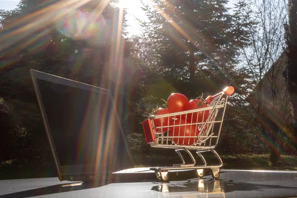 Concept of online grocery shopping. A miniature shopping cart wi