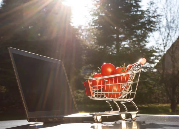 Concept of online grocery shopping. A miniature shopping cart wi