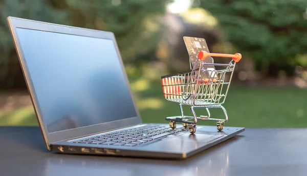 Concept of online grocery shopping. A miniature shopping cart wi