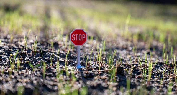 Stop Sign New Lawn — Stock Photo, Image