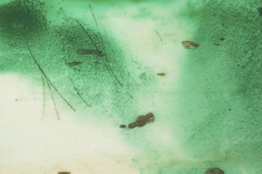 Suluboya resim grunge doku zemin arka plan