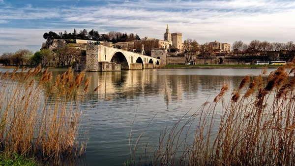 Uma Vista Ponte Medieval Através Corredores Rio Rhone Pont Saint — Fotografia de Stock