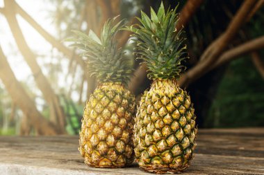 Ananas Bahçe, ahşap yüzey üzerinde görünümü kapatın