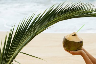 Hindistan cevizi ve palmiye yaprağı el