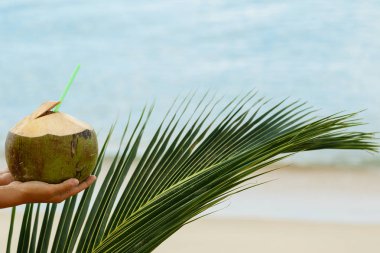 Hindistan cevizi ve palmiye yaprağı el