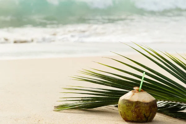 Cocktail Aus Kokosnuss Und Palmblättern Strand — Stockfoto