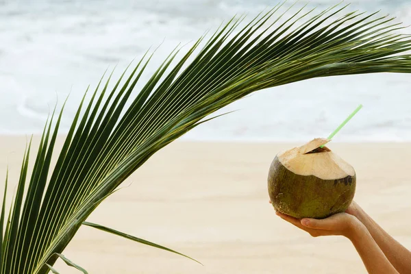 Hindistan cevizi ve palmiye yaprağı el