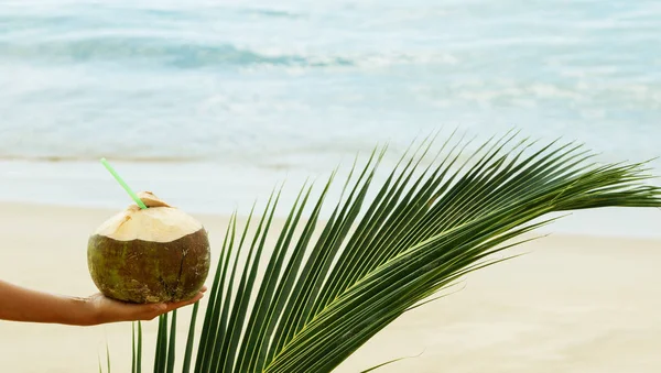 Hindistan cevizi ve palmiye yaprağı el