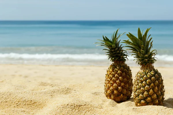 Frutas Abacaxi Praia Areia Dia Ensolarado — Fotografia de Stock