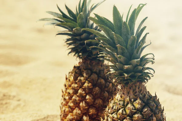 Ananasy Leżąc Plaży Bliska — Zdjęcie stockowe